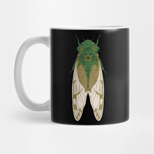 Cicada Insect Great Eastern Brood X USA 2024 Magicicada Mug